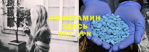 трава Карпинск