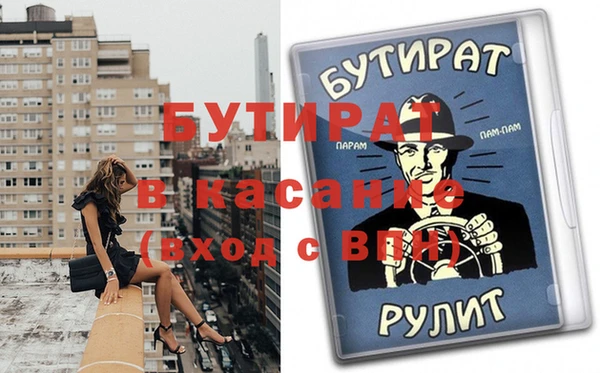 прущие грибы Каменногорск