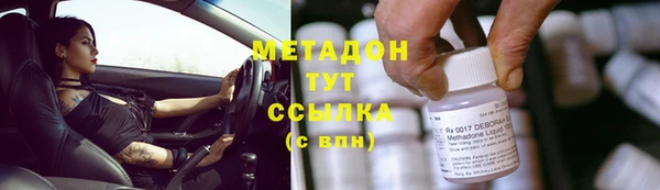 трава Карпинск