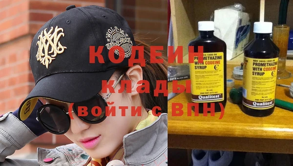 трава Карпинск
