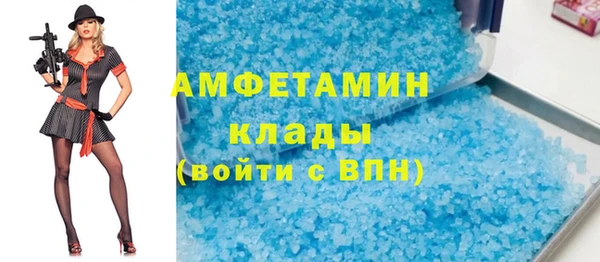 трава Карпинск
