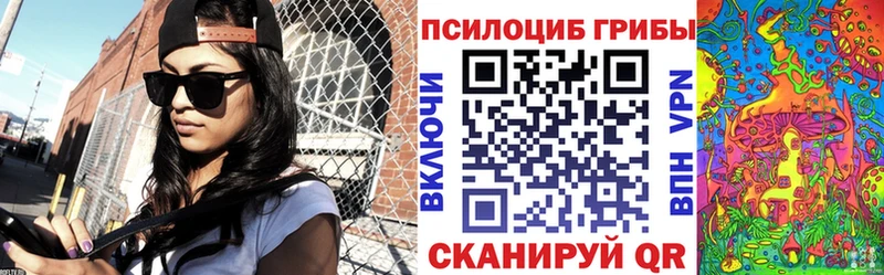 Псилоцибиновые грибы GOLDEN TEACHER  закладки  Озёрск 